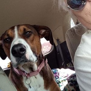 Meet your Posher, Glenda